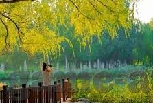 九游平台下载-九游平台，快速下载体验丰富游戏内容